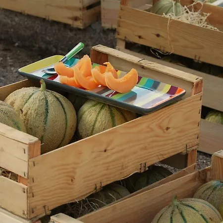 Les Terrasses De * Flaugnac